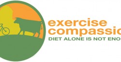Exercise Compassion