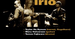 Taylor Ho Bynum Trio