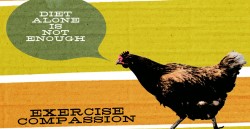 Exercise Compassion 