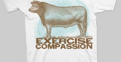 Exercise Compassion 